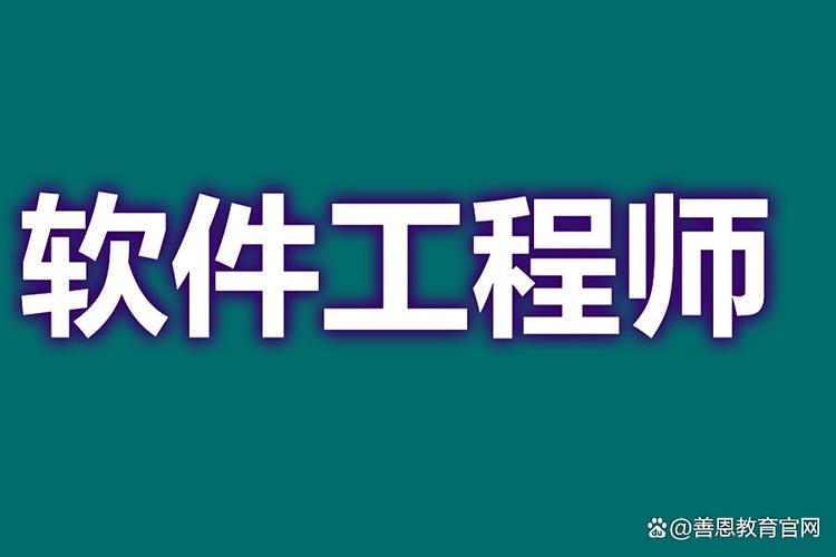 高效,同時可能參與需求分析與系統優化,支撐各類數字化產品與服務的